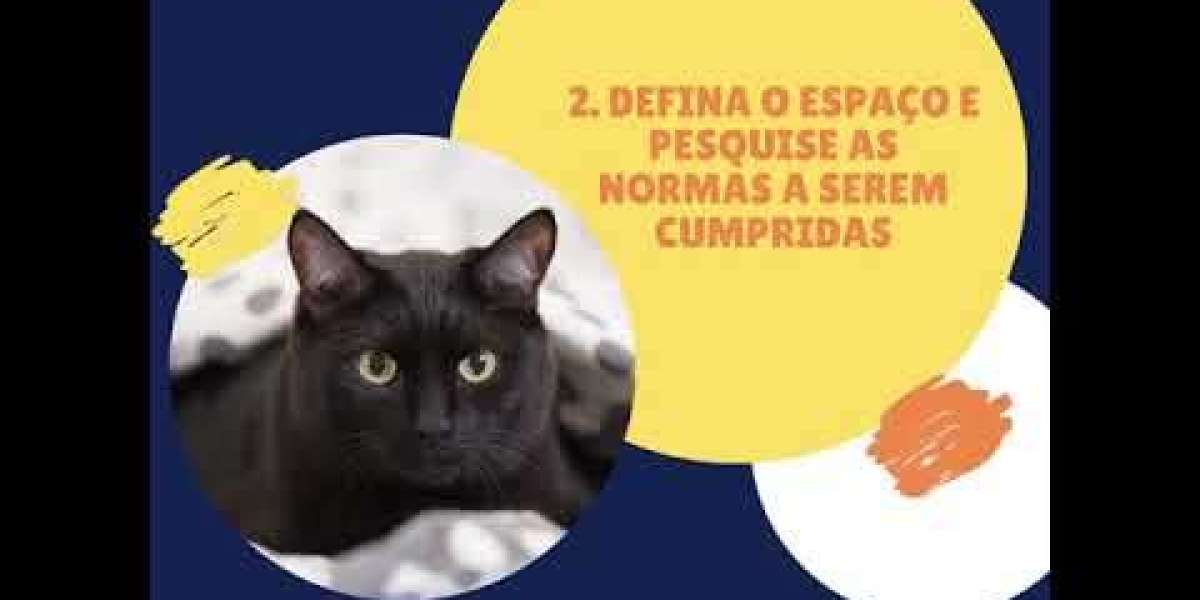 Descubra a Vitamina Ideal para Ajudar seu Cachorro a Combater a Cinomose!