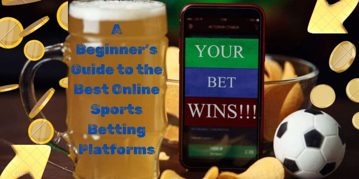 A Beginner’s Guide to the Best Online Sports Betting Platforms