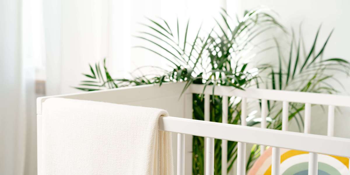 Nurturing Dreams on a Budget: A Guide to Finding Affordable Cots for Your Little One