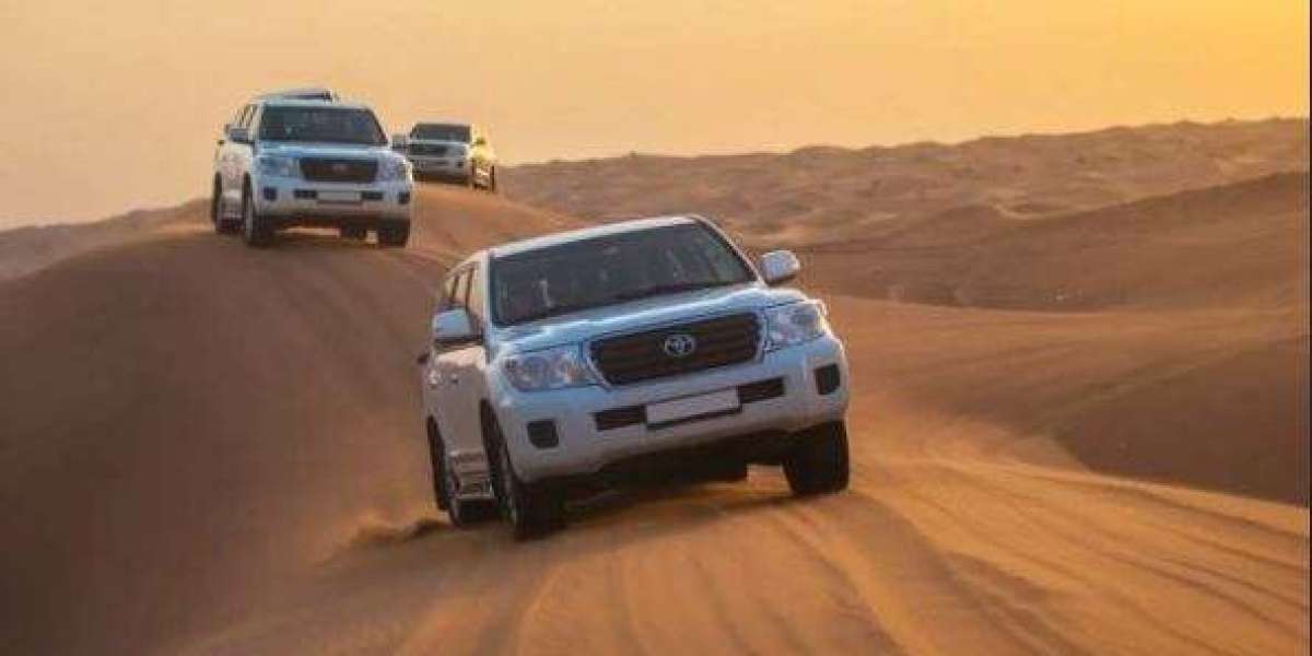Experience the Magic of Morning Desert Safari Tours in Dubai