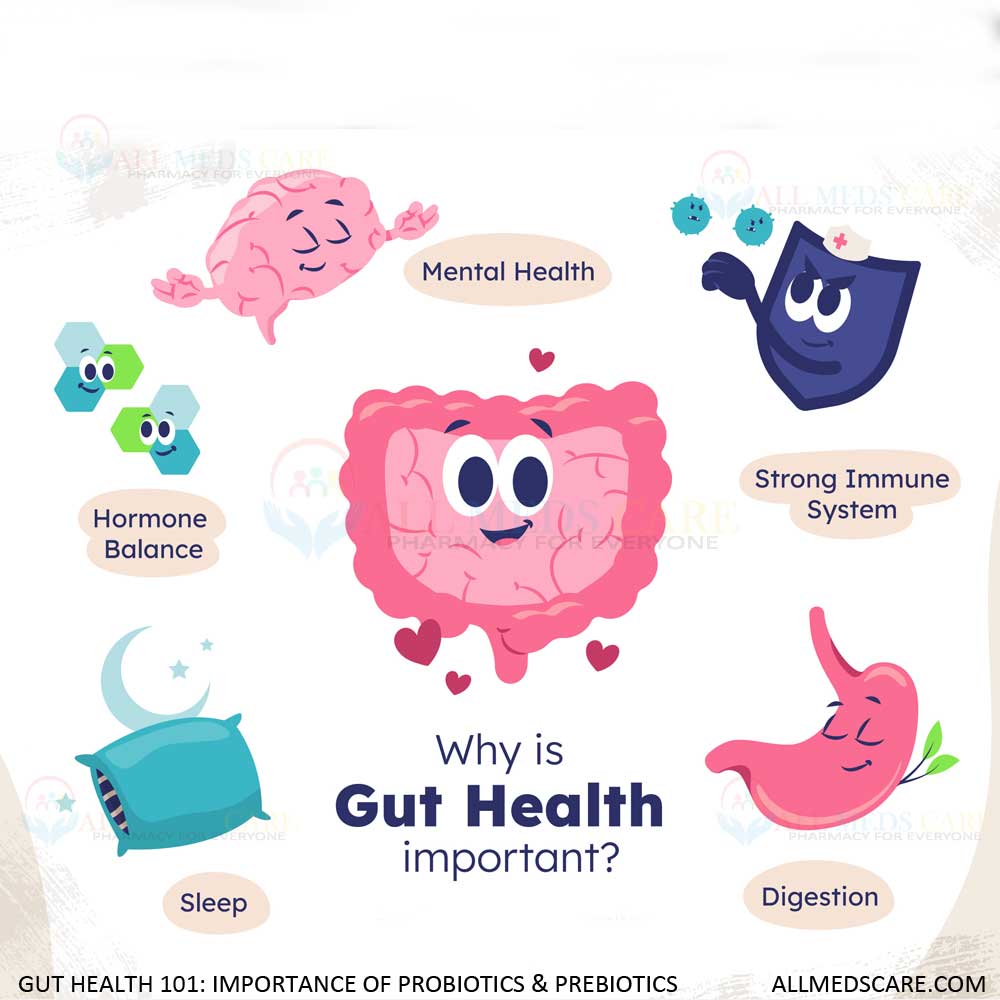 Gut Health 101: Amazing Facts of Probiotics And Prebiotics