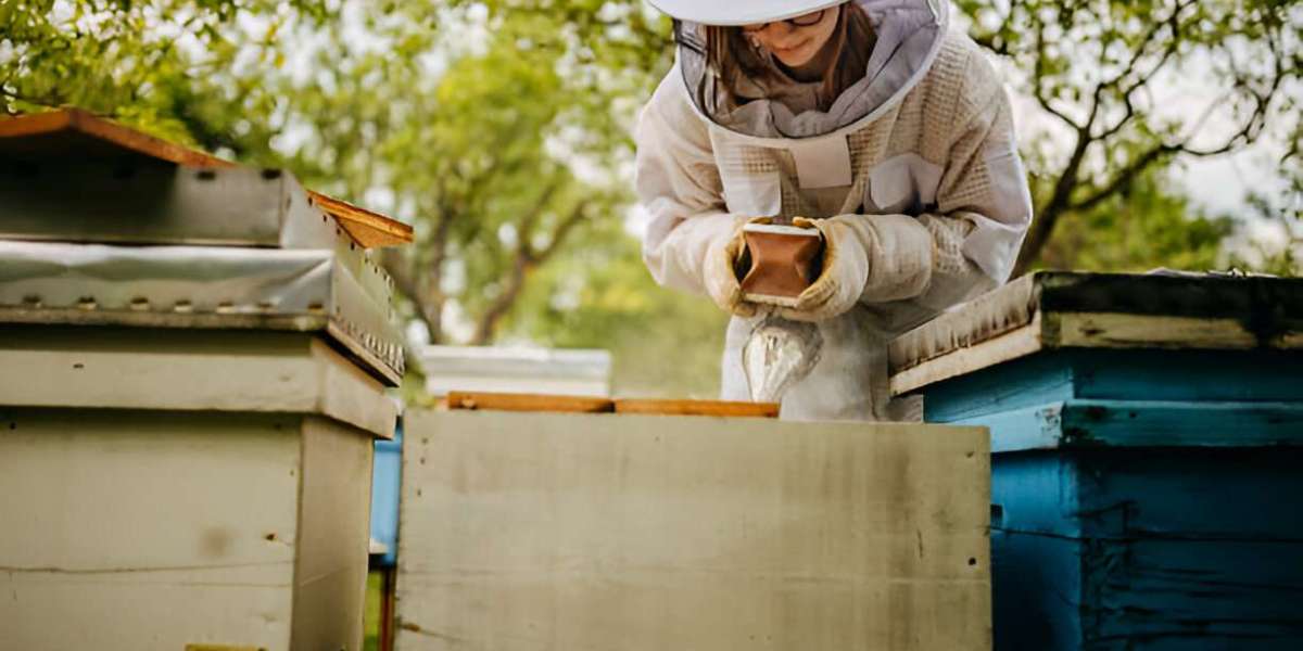 Smart Beehive Monitoring System: A Technological Revolution in Beekeeping