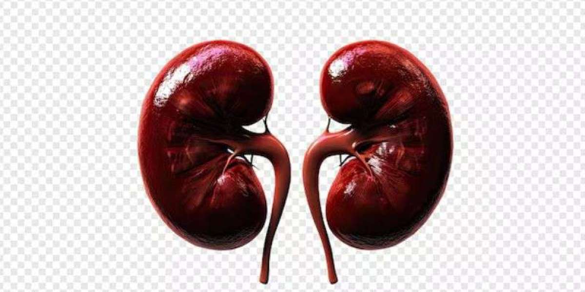 Kidney Tumor Treatment in India: Causes, Symptoms