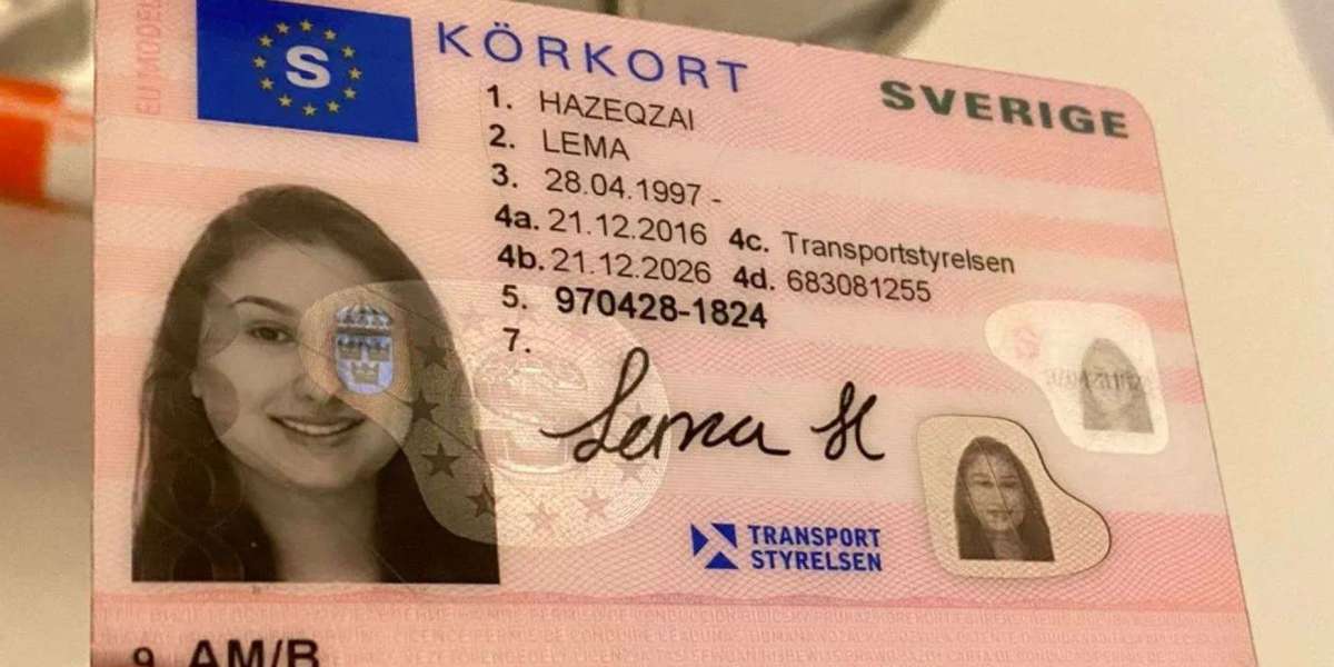 11 "Faux Pas" That Are Actually Acceptable To Use With Your Driving License Id-Handling 2025