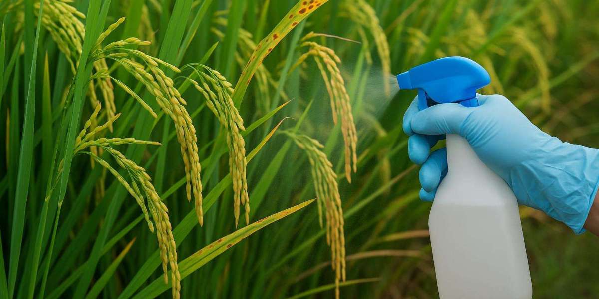 Mid-Season Plan to Control Leaf Curl and Crinkling