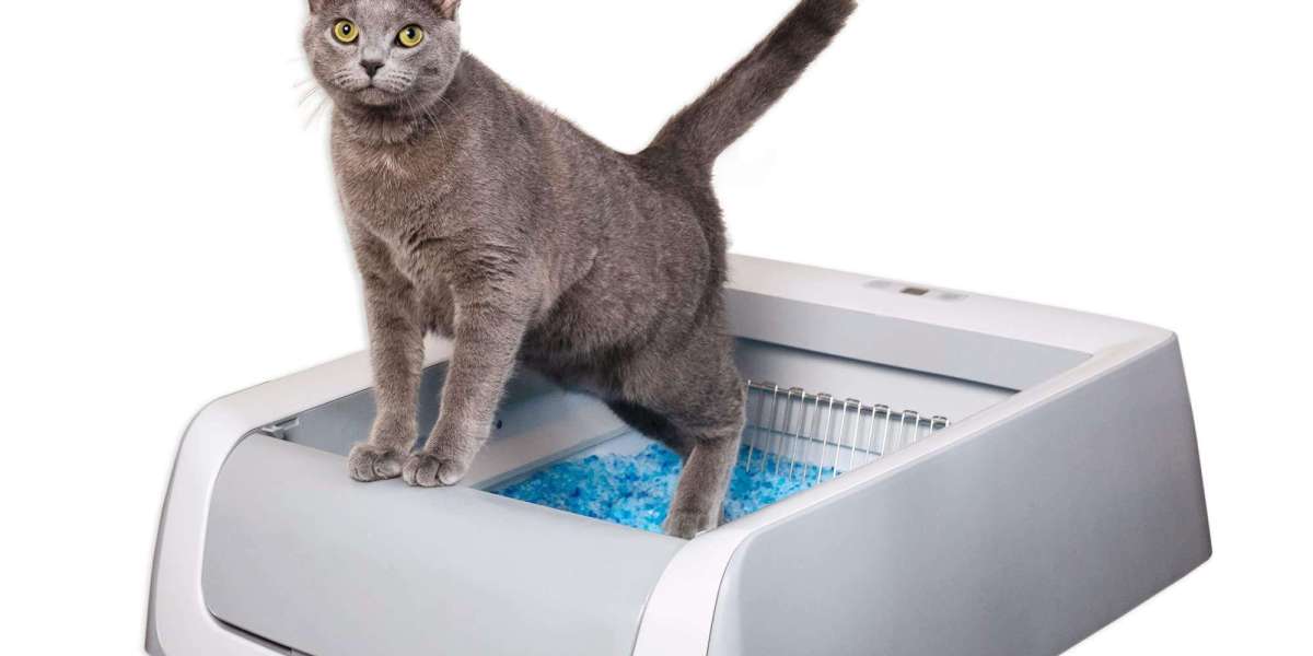 Can Pawtechpet Cat Litter Box Automatic Cleaning Improve Your Cat's Routine?
