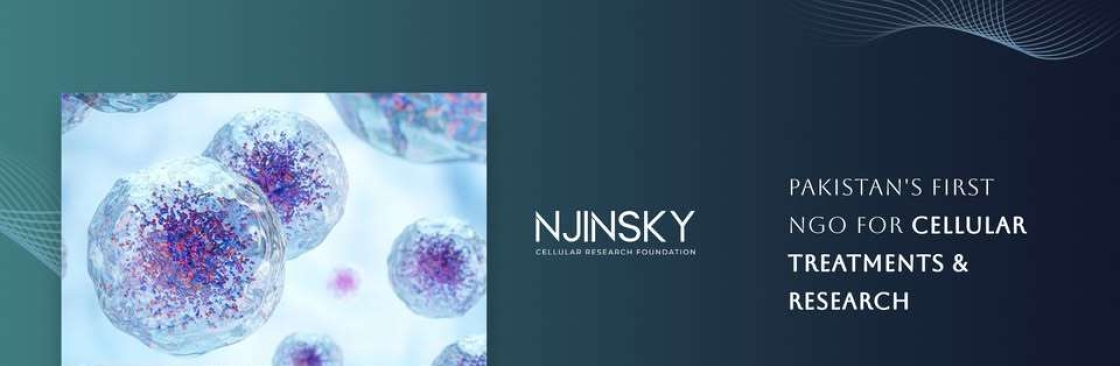 Njinsky Foundation Cover Image