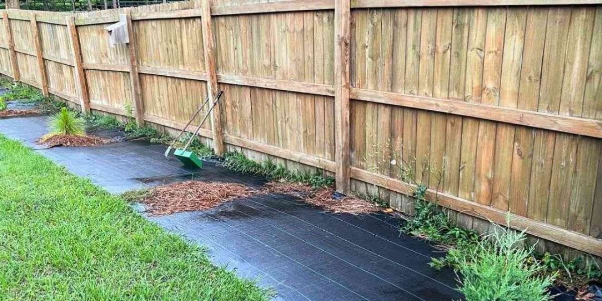 Weed Barrier Fabric: The Essential Tool for a Beautiful and Low-Maintenance Garden