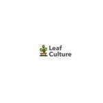 Leaf Culture Profile Picture