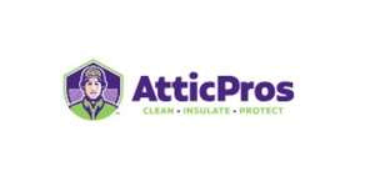 Why Professional Rodent Removal Services Are Essential for a Healthy Home