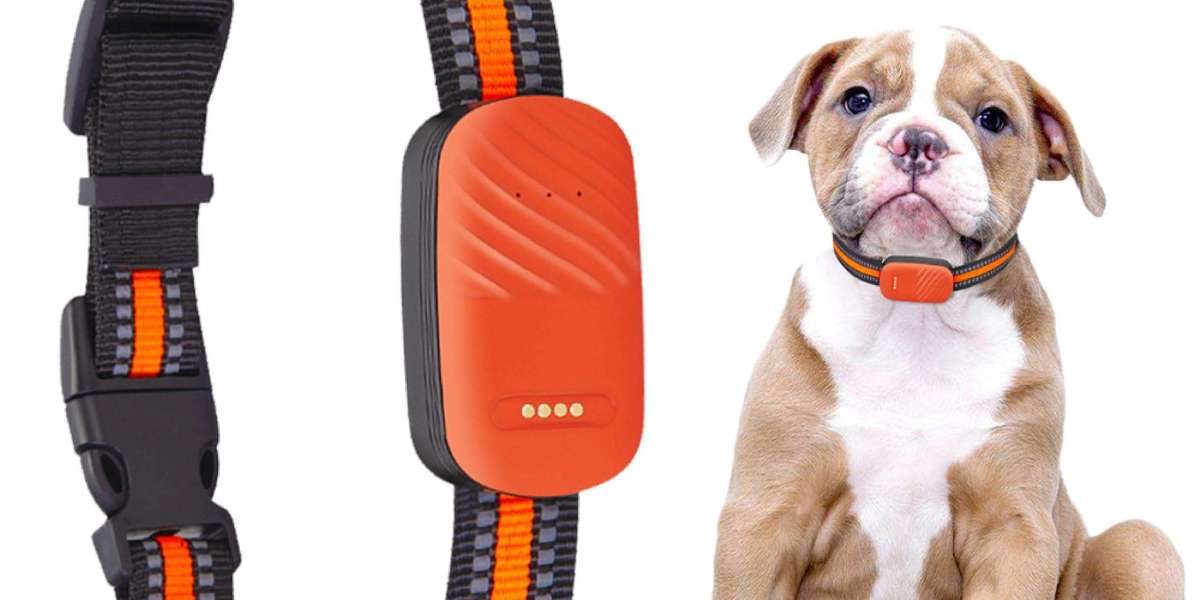 Pawtechpet Pet Tracker for Accurate Pet Monitoring