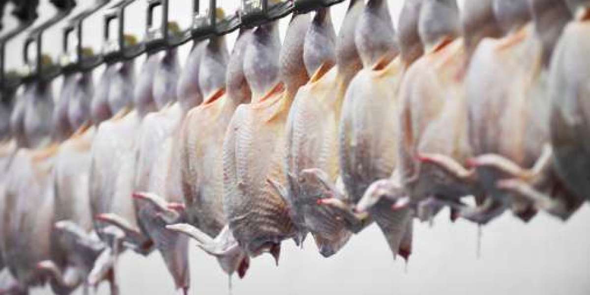 Meat Processing Equipment Market Research Report 2024: Size, Share, and Competitive Strategies