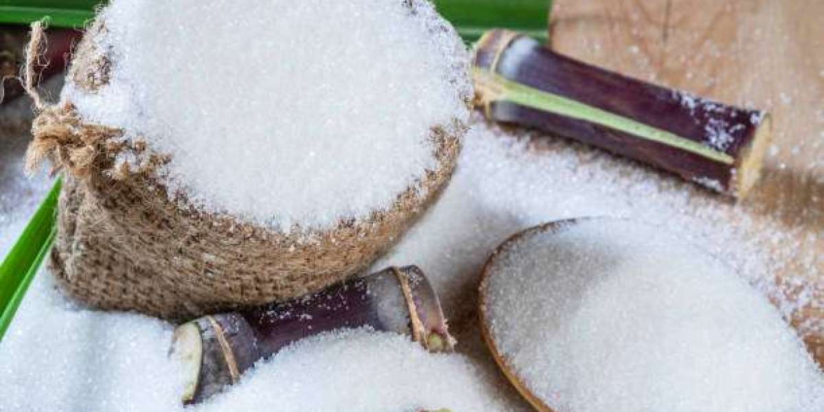 Industrial Sugar Market Research: Raw Material Sourcing and Supply Chain Dynamics