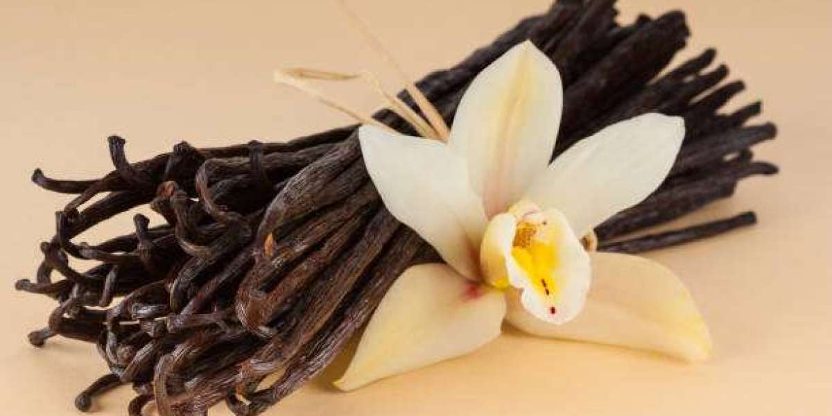 Vanilla Market Expansion Across Food, Beverage, and Cosmetic Sectors