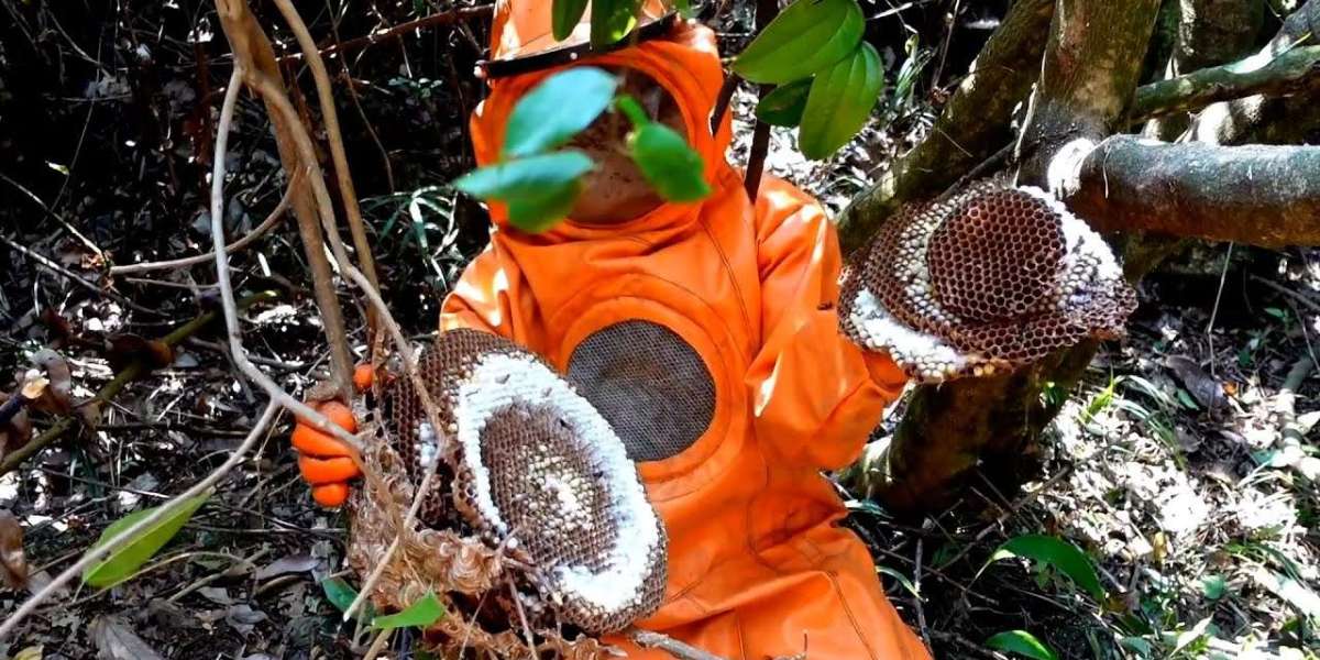 Safe & Effective Hornet Removal in Bethpage NY – Expert Solutions