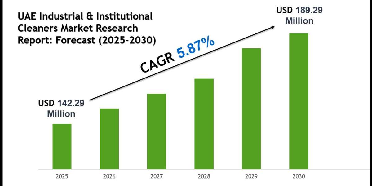 UAE Industrial & Institutional Cleaners Market 2030: Executive Summary, Key Trends & Future Outlook