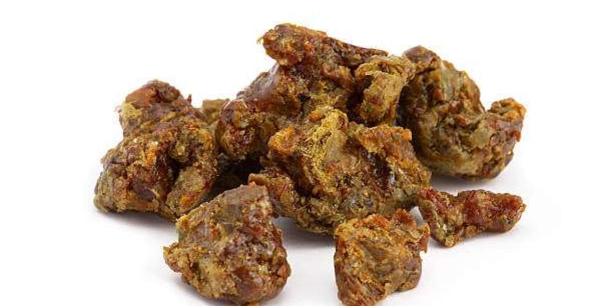 Propolis Market Trends: Innovations and Technological Advancements