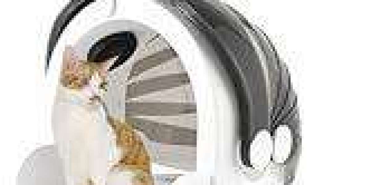 Why Pawtechpet's Pet Dryer Enhances Pet Comfort?