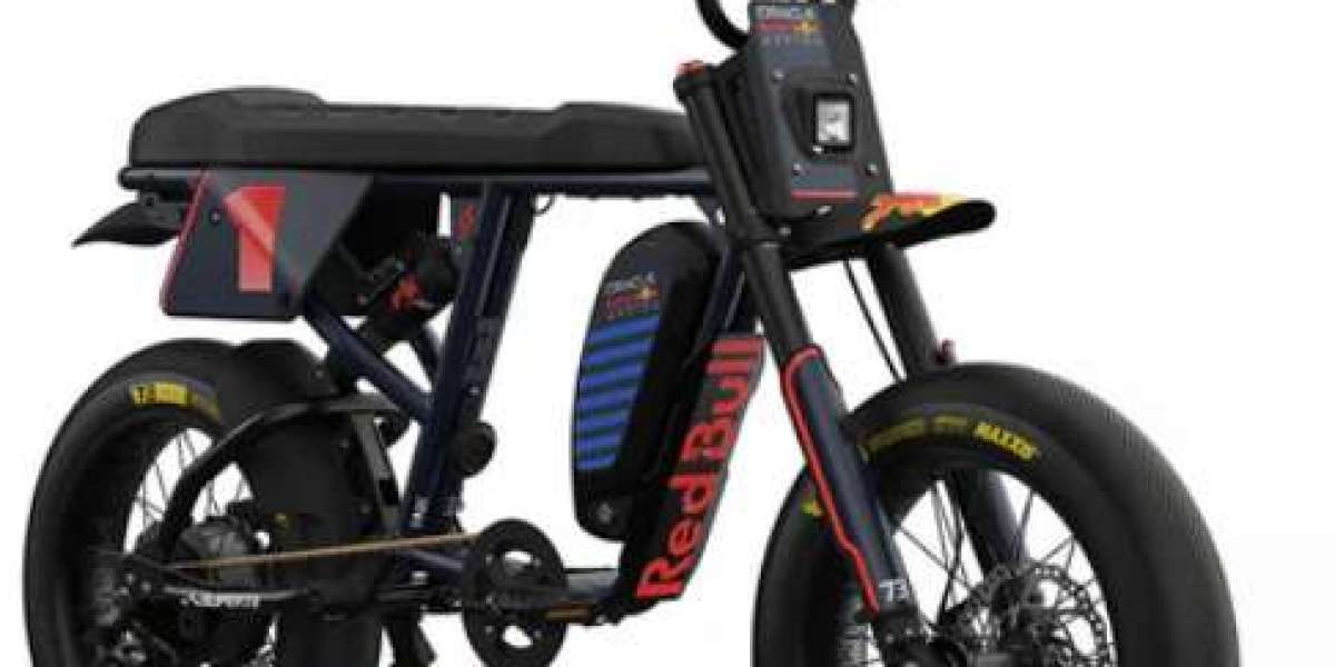 The Quest for a High-Quality E-Bike