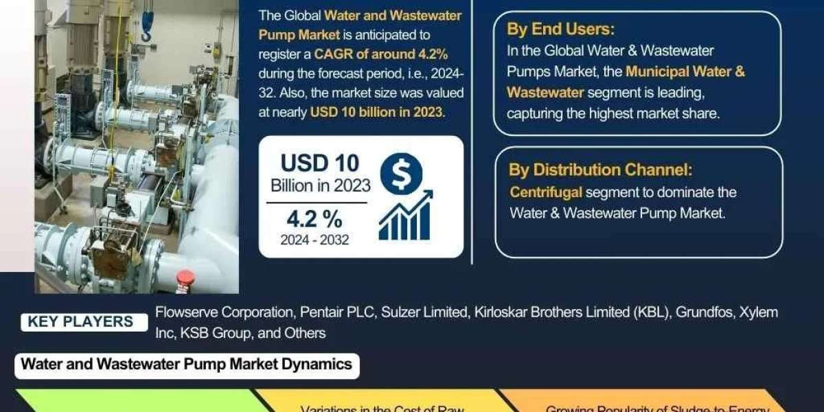Water and Wastewater Pump Industry Growth Forecast 2032- The Report Cube
