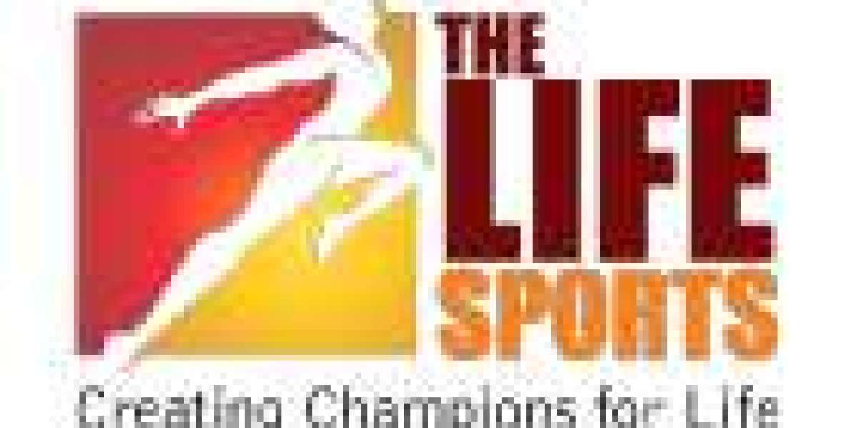 The Ultimate Guide to the Box Cricket Ground in Pune: Spotlight on The Life Sports