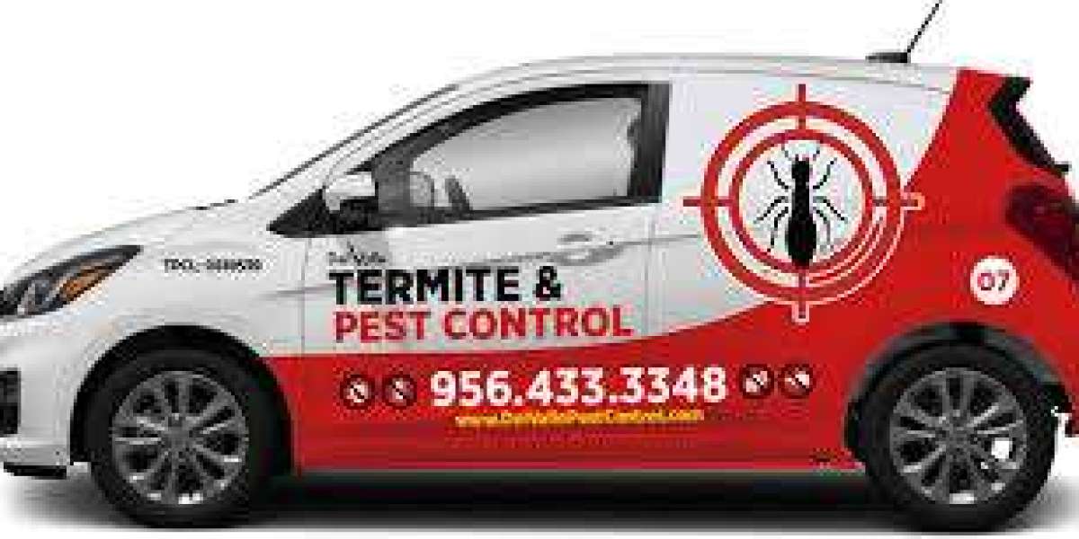 Termite Control Laredo, TX: Protecting Your Home from Silent Destroyers