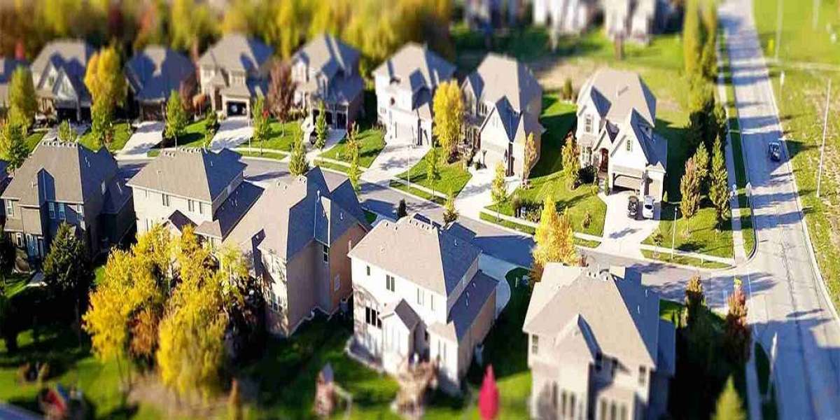 Topographic Survey vs. Boundary Survey: What’s the Real Difference?