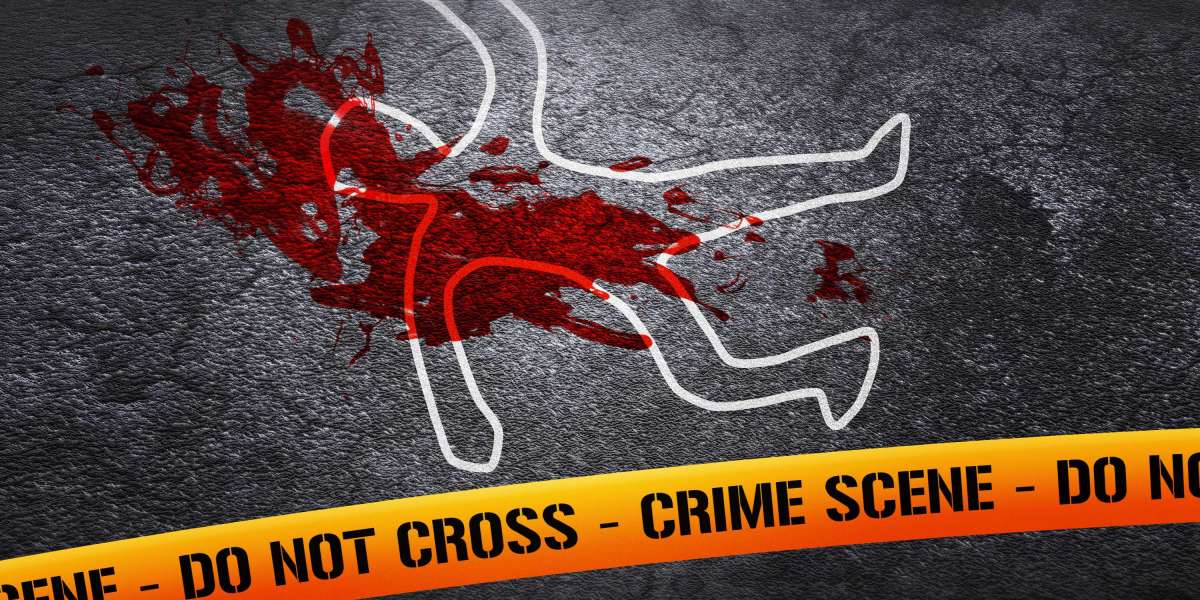 The Dynamics Of Sugar Daddy Relationships: A Comprehensive Case Study