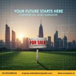 Commercial Plots In Gurgaon Profile Picture