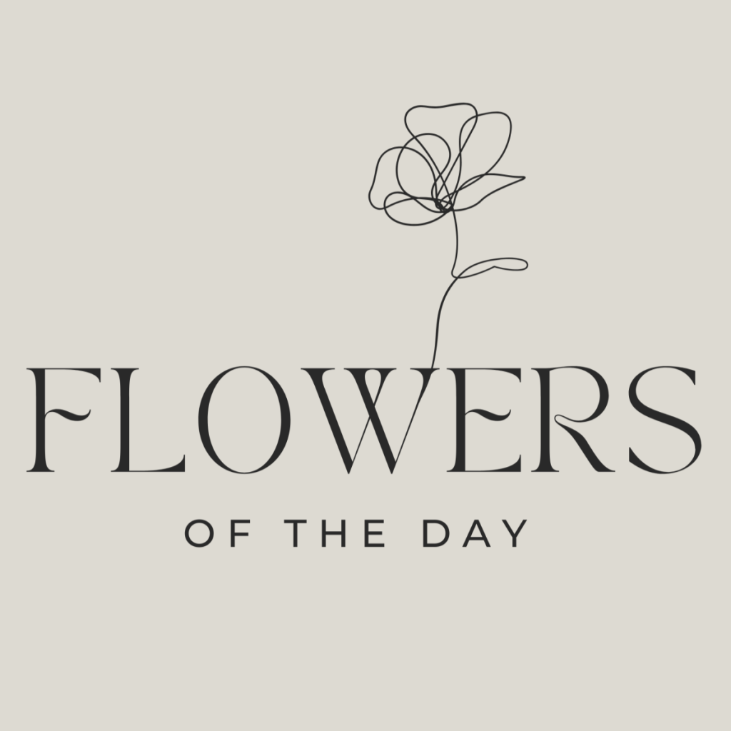 Flowers of the day -