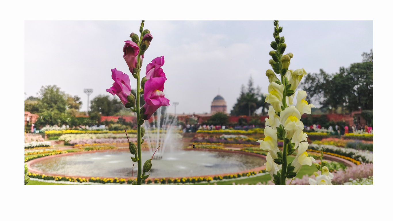 Amrit Udyan Opening Timing 2026