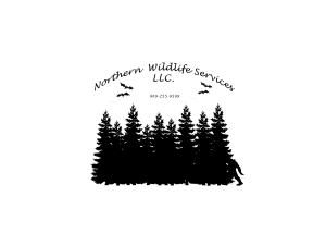 Residential Wildlife Removal Michigan Safe & Effective Help