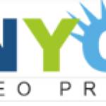 Nyc seo Pro Pro Profile Picture